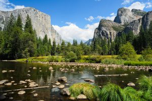 Et stykke af Yosemite Valley, der ligger i Yosemite National Park